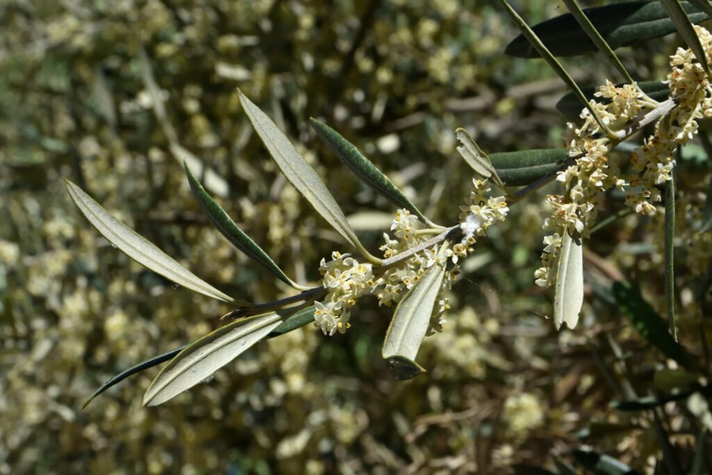 bertrand borie QifFqYw4P7s unsplash